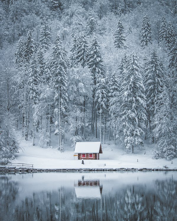 cabin in the winter forest